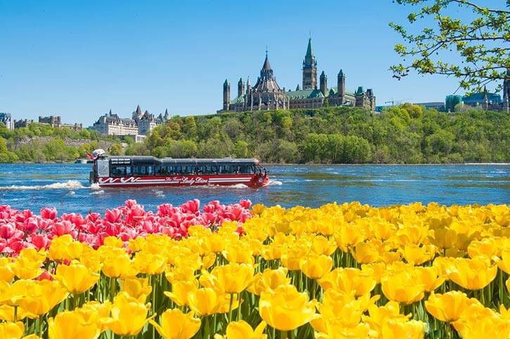 119 Interesting Montreal Facts - Must Do Canada