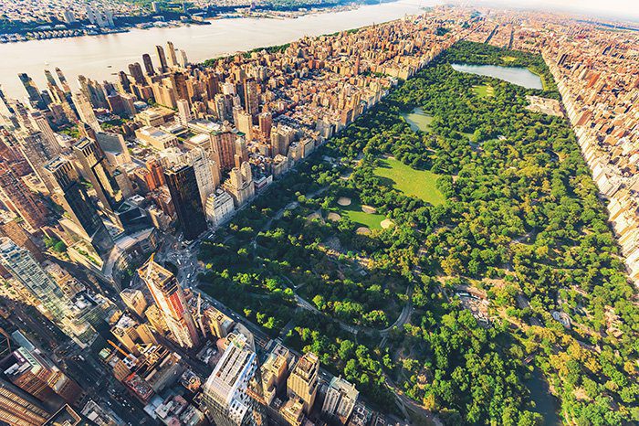 The Magic, Music and Romance of Central Park at Bethesda Terrace - Souvenir  Finder