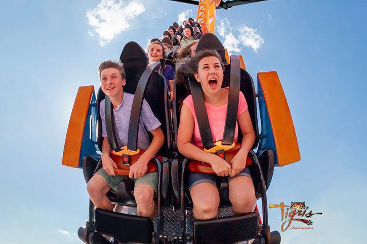 Tigris rollercoaster | Busch Gardens, Tampa Bay | Tour America