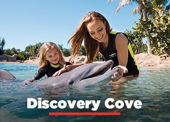 Discovery Cove Tickets