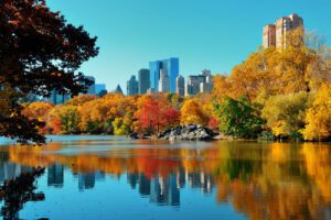 new york central park autumn